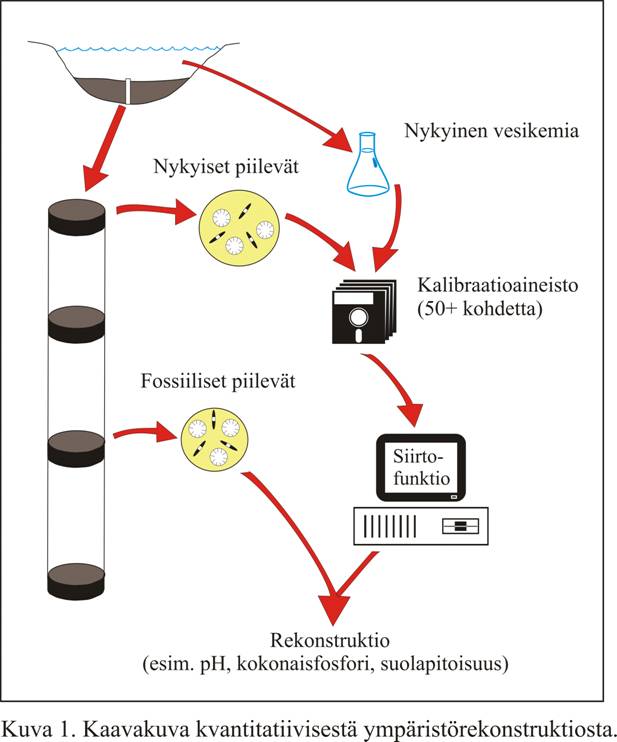Kaavakuva paleolimnologisesta menetelmästä